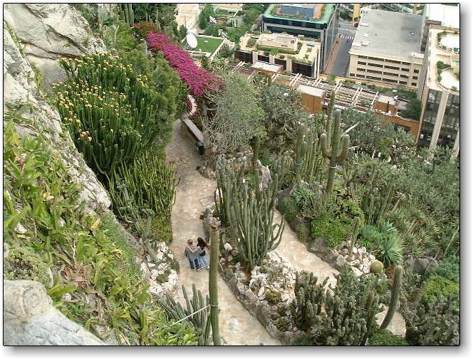 Jardin Exotique de Monaco