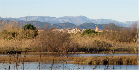 Vue de Fréjus